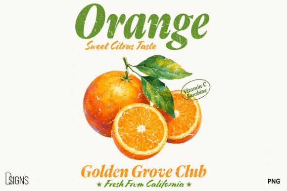Download Retro Orange Vintage Summer Fruit PNG - Summer Collection